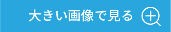 大きい画像で見る